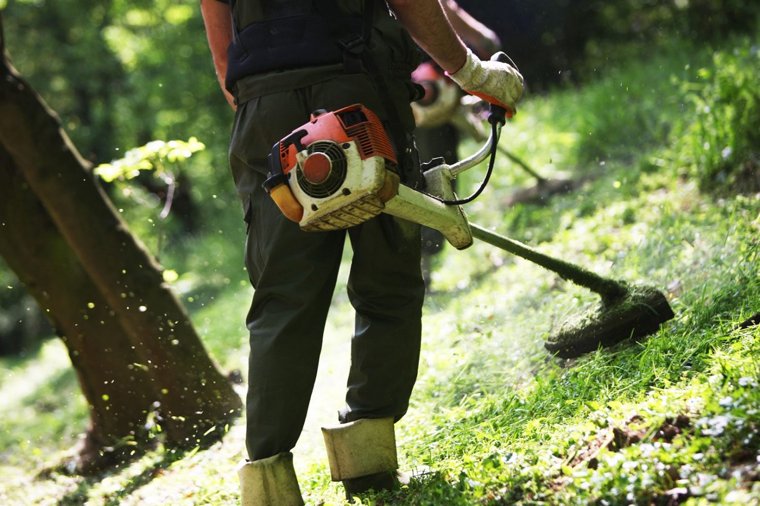 Reinigung und Pflege von Grünanlagen/Spielplätzen Reinigung und Pflege von Grünanlagen/Spielplätzen